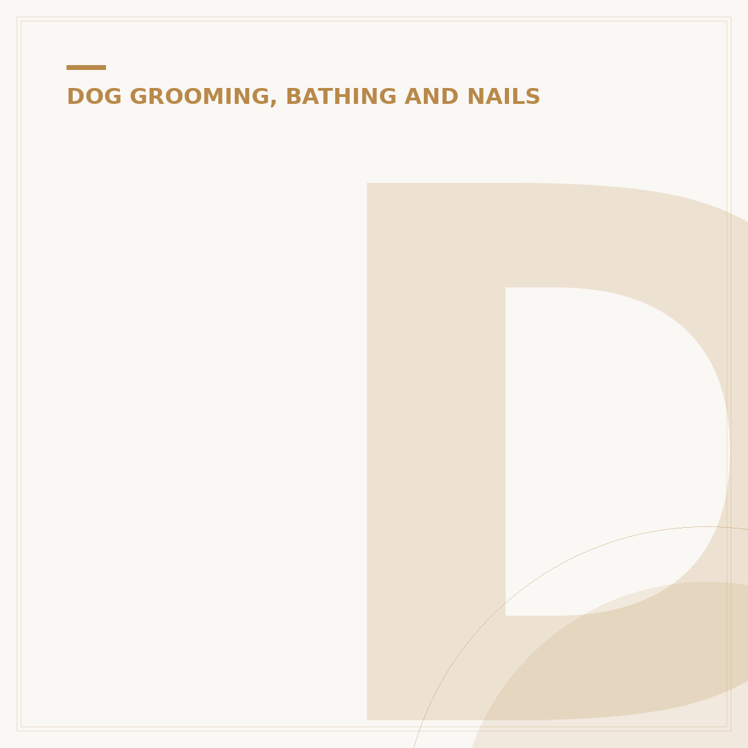 Dog Grooming Kit: What You Need for Home Care