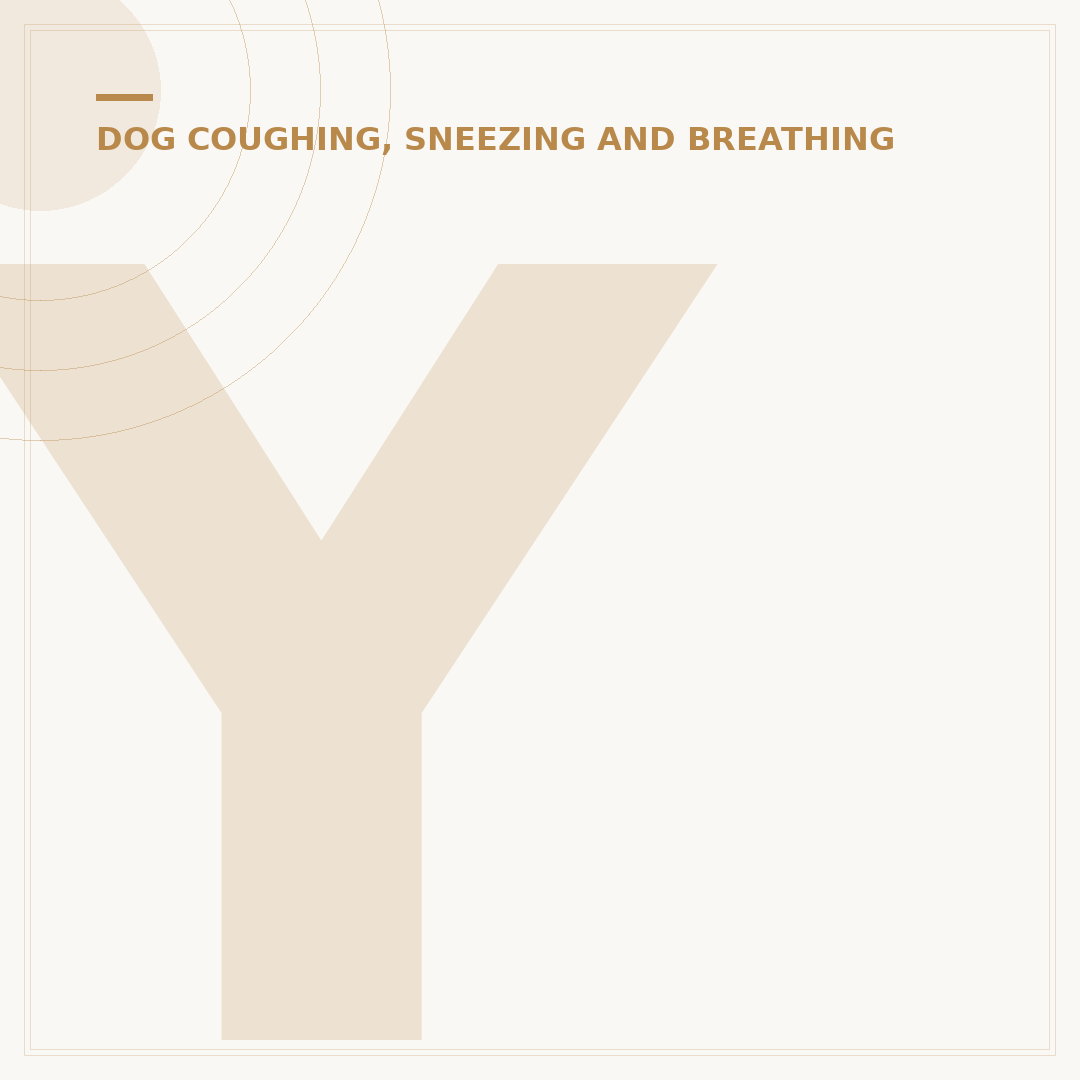 Your Dog Has a Cold: Recognising Symptoms and Providing Care