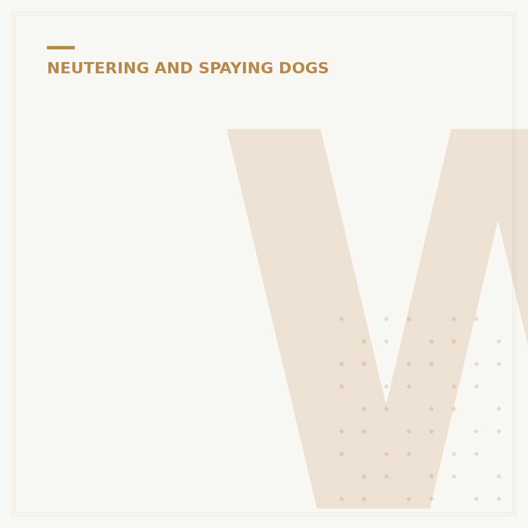 Why My Dog Keeps Jumping After Being Neutered