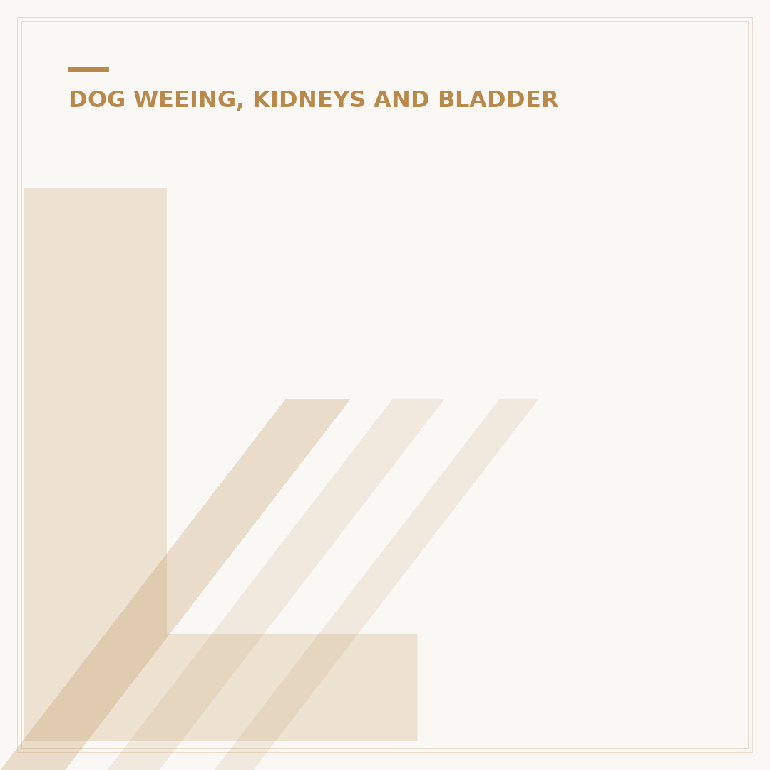 Life Expectancy for Dogs with Early Stages of Kidney Disease