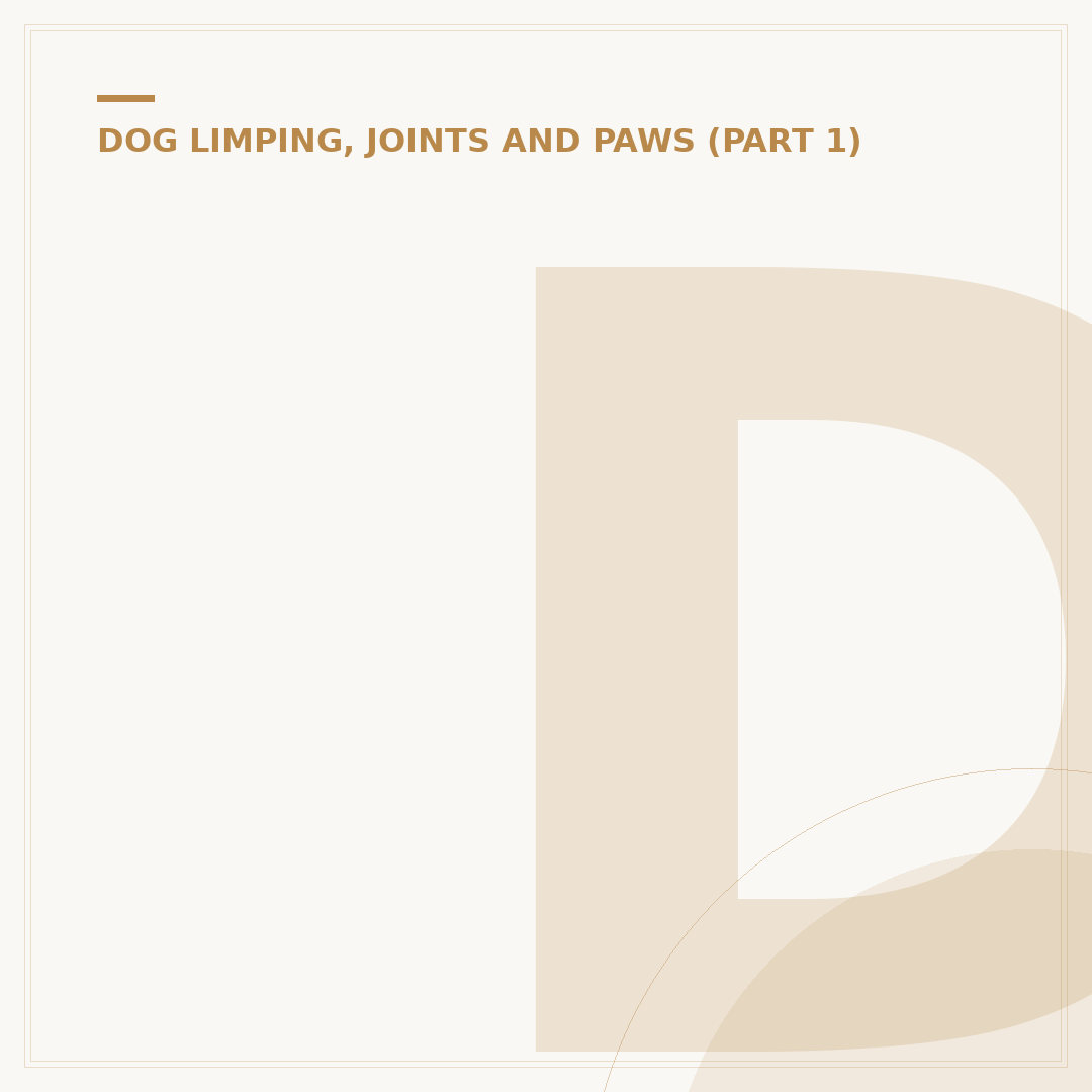 Dog Losing Hair on Tail: Causes and What to Do
