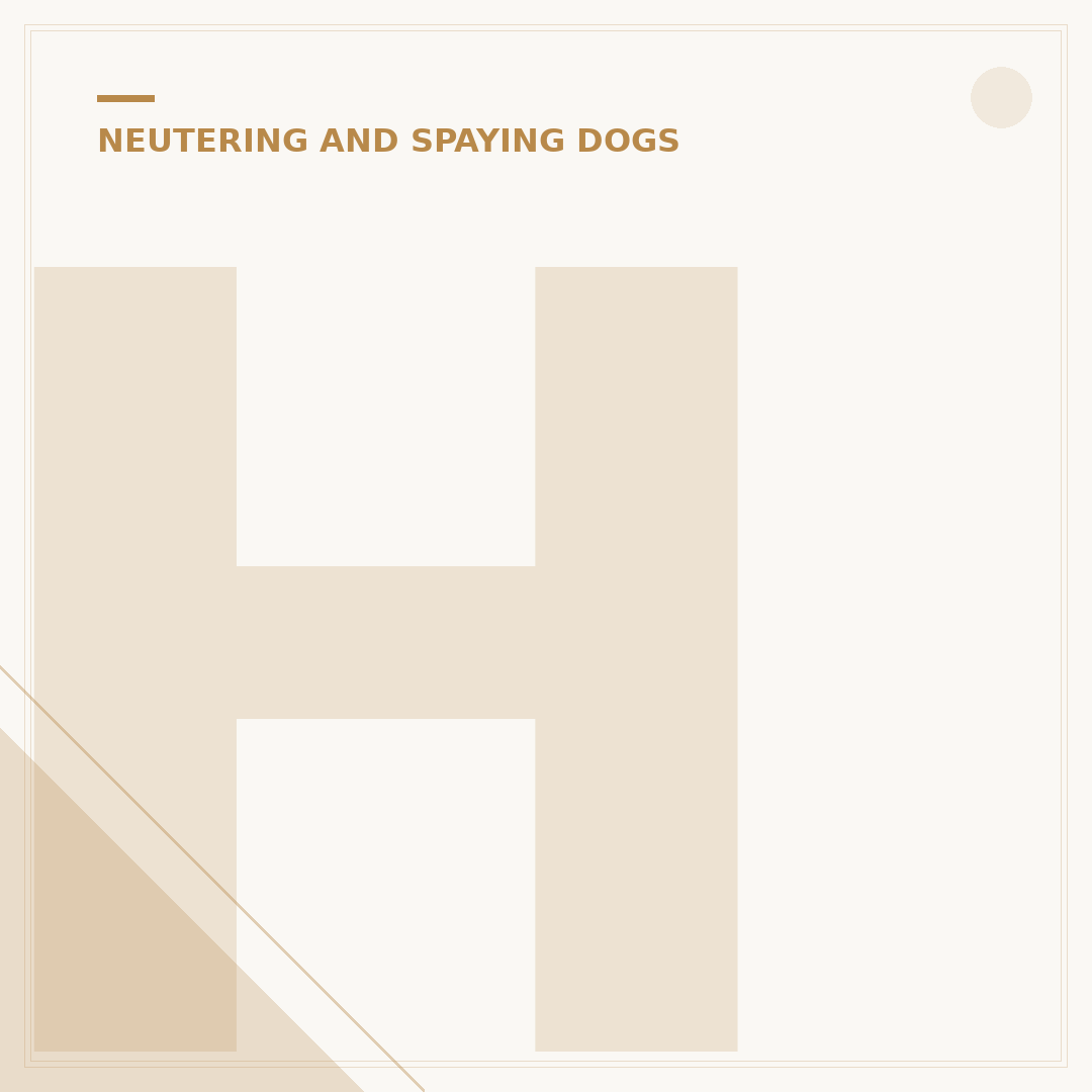 How Long Does a Dog Take to Heal After Being Neutered?