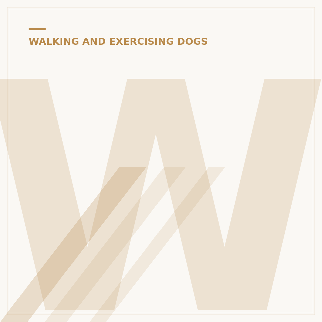 Why Does My Dog Not Want to Walk? Understanding and Helping