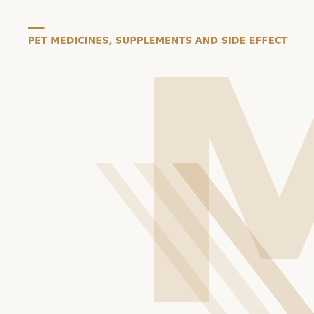 My Vet Told Me to Give My Dog Paracetamol: Risks & Advice