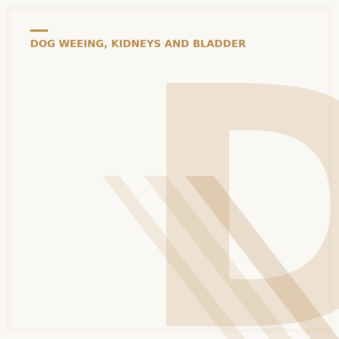 Dog Pee Ruining Grass: Stop Lawn Burn & Yellow Spots
