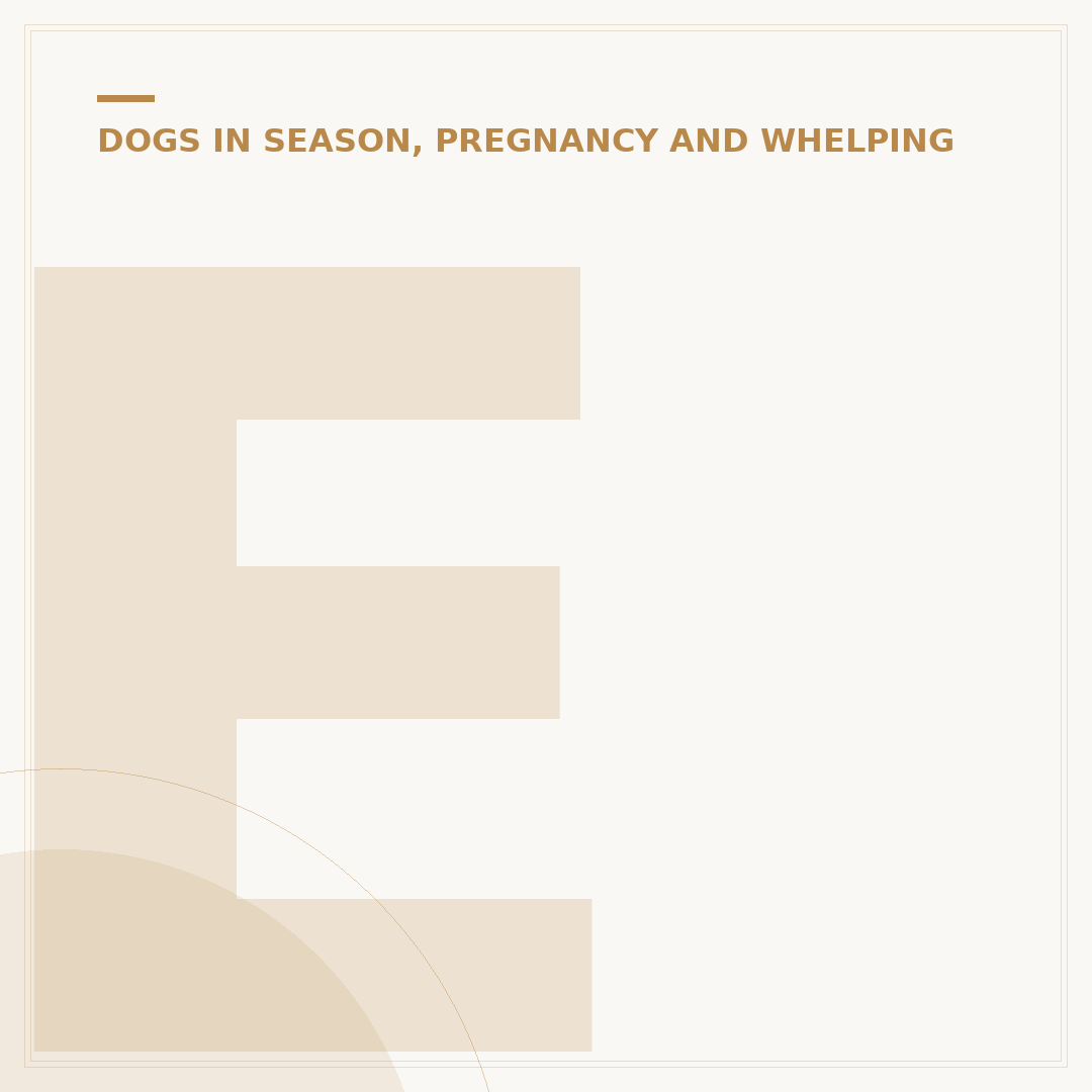 Early Signs of Dog Pregnancy at 2 Weeks