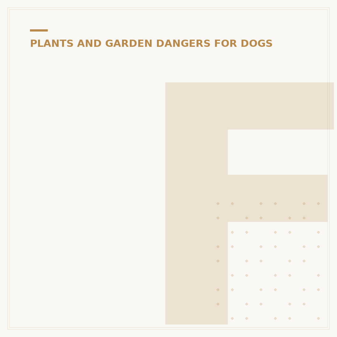 Flowers Safe for Dogs