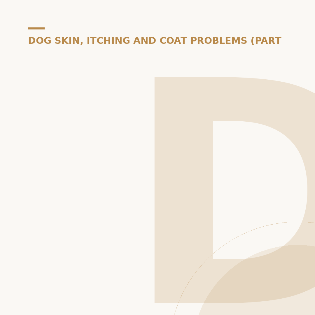 Dog Scratching Ears: Home Remedies & Care