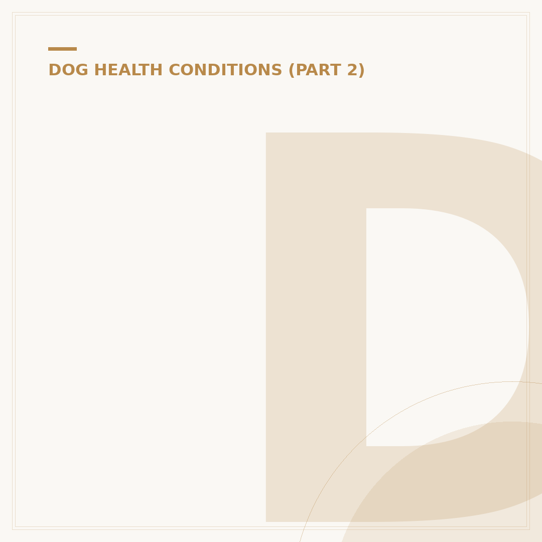 Dog Always Shaking Head: Causes & What To Do