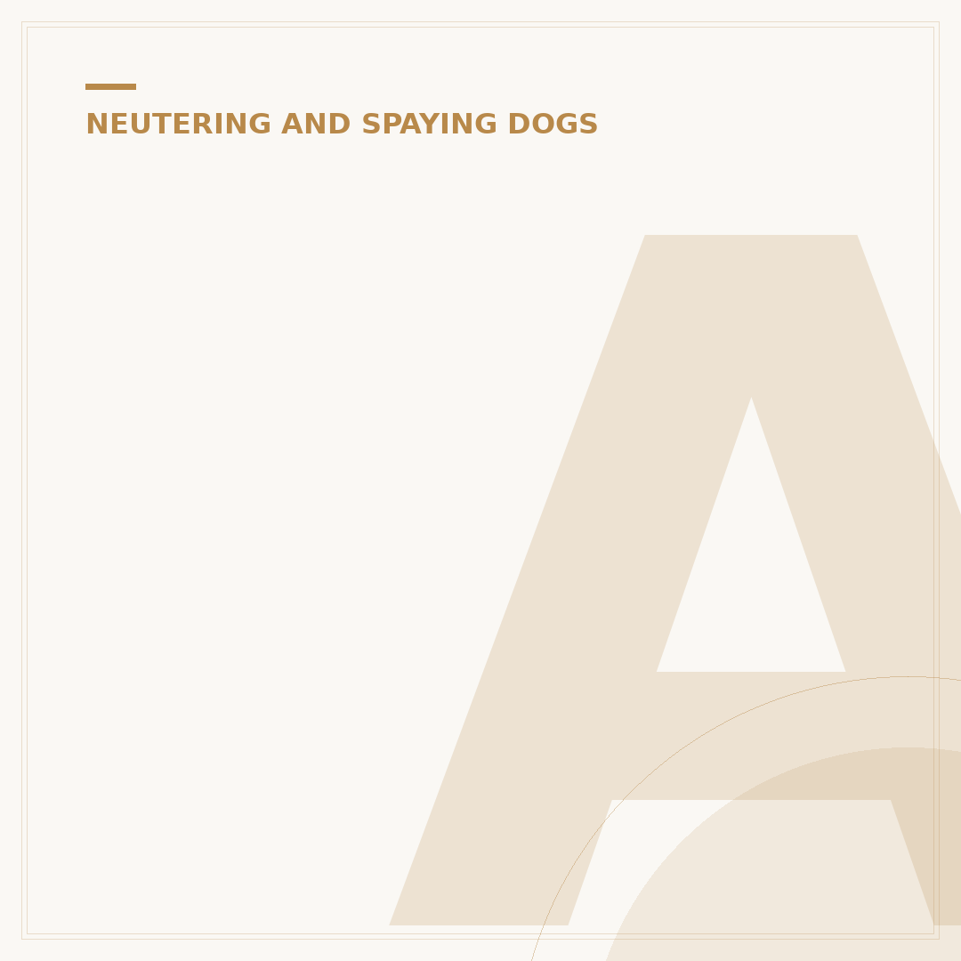 Aftercare for Dogs After Spaying