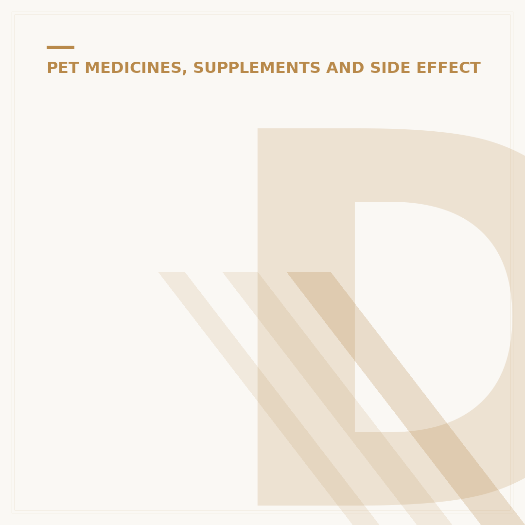 Dog Supplements: What They Are and How to Choose