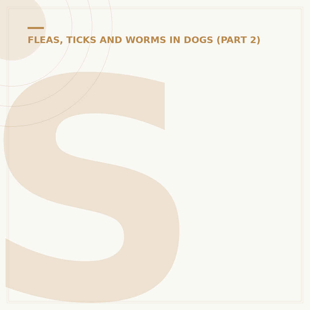 Signs Your Dog Has a Tick