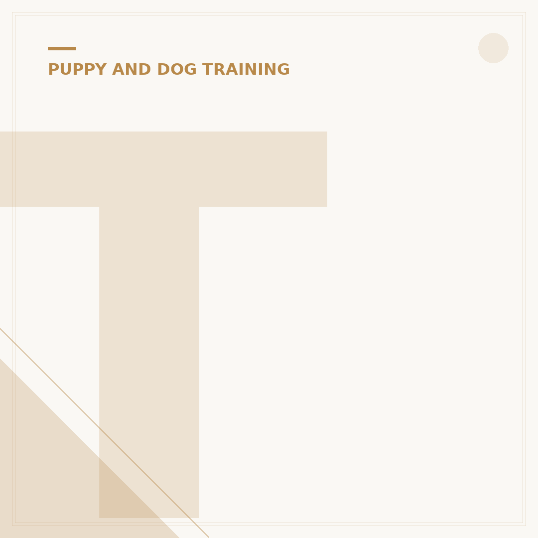 Train a Dog with a Bell