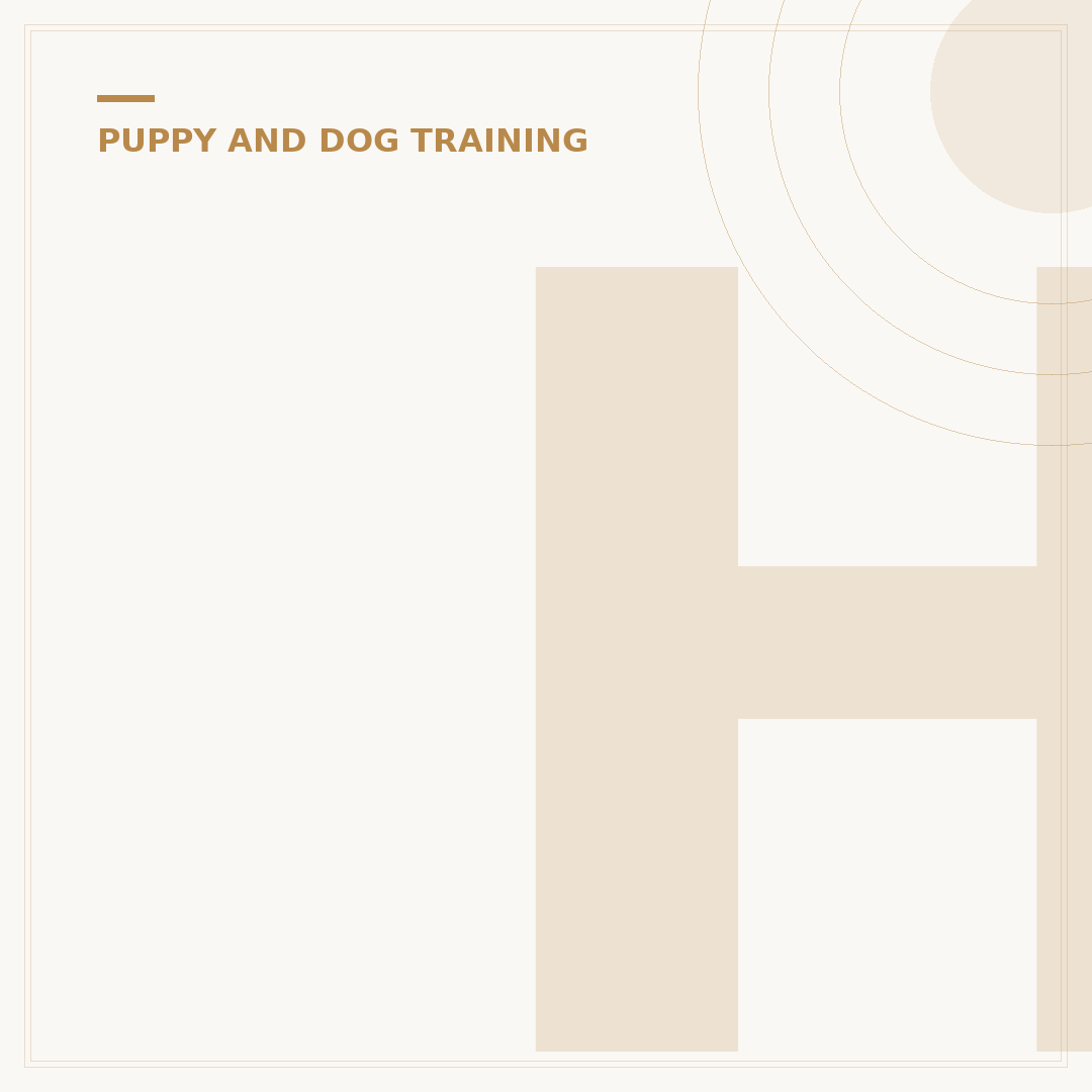 How Much Are Dog Training Classes?