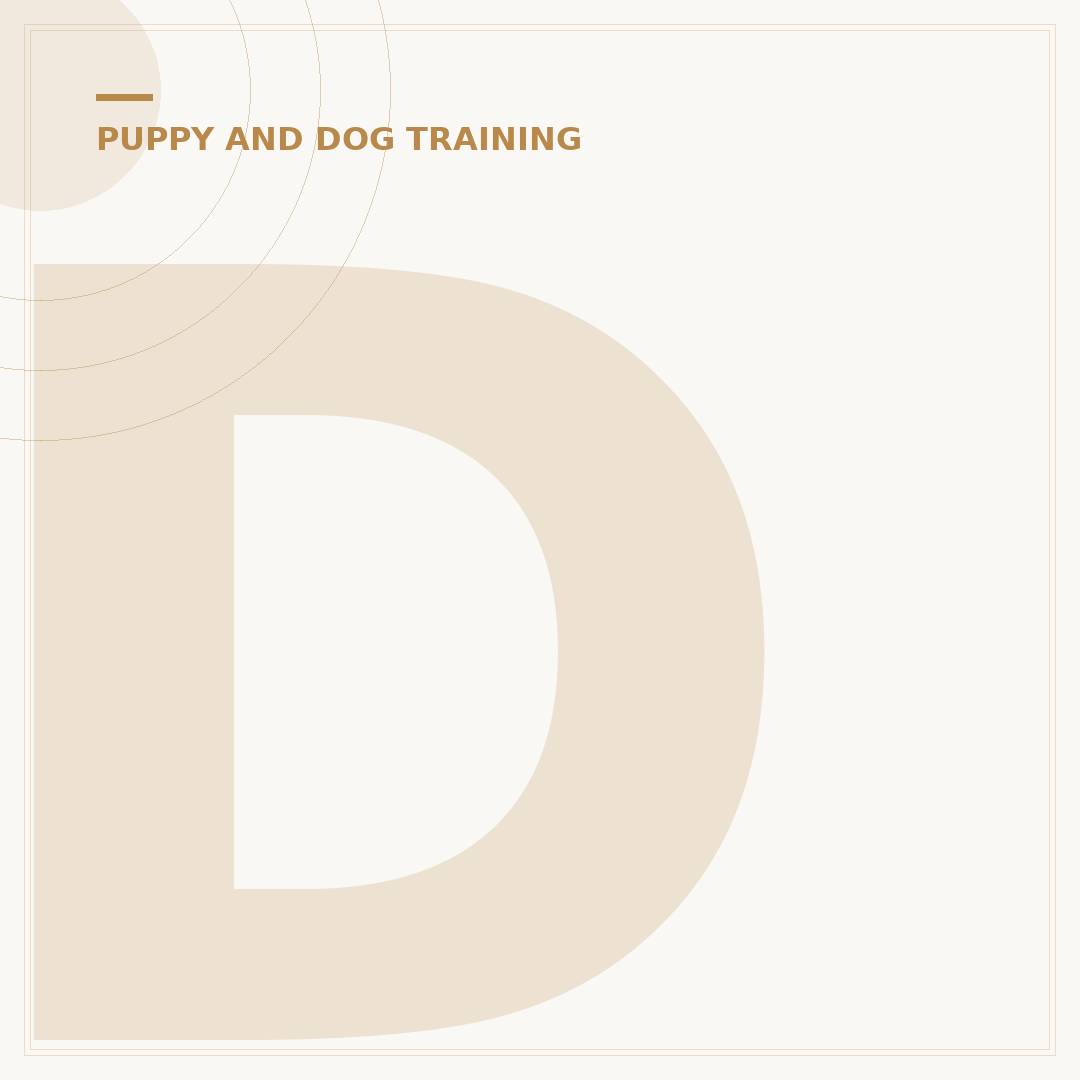 Dog Training College: Becoming a Canine Professional