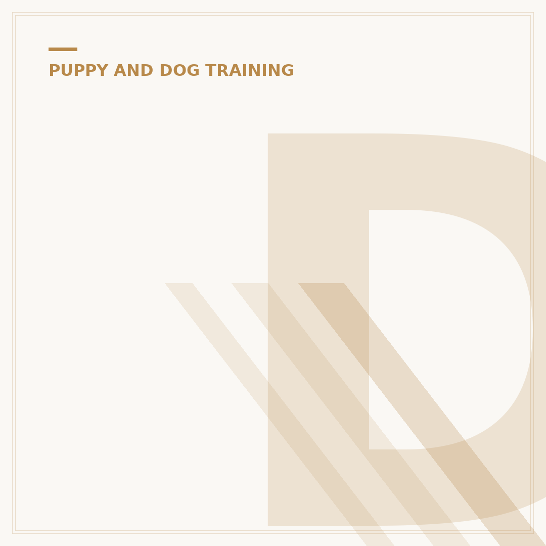 Dog Training Guidelines: Building a Better Bond