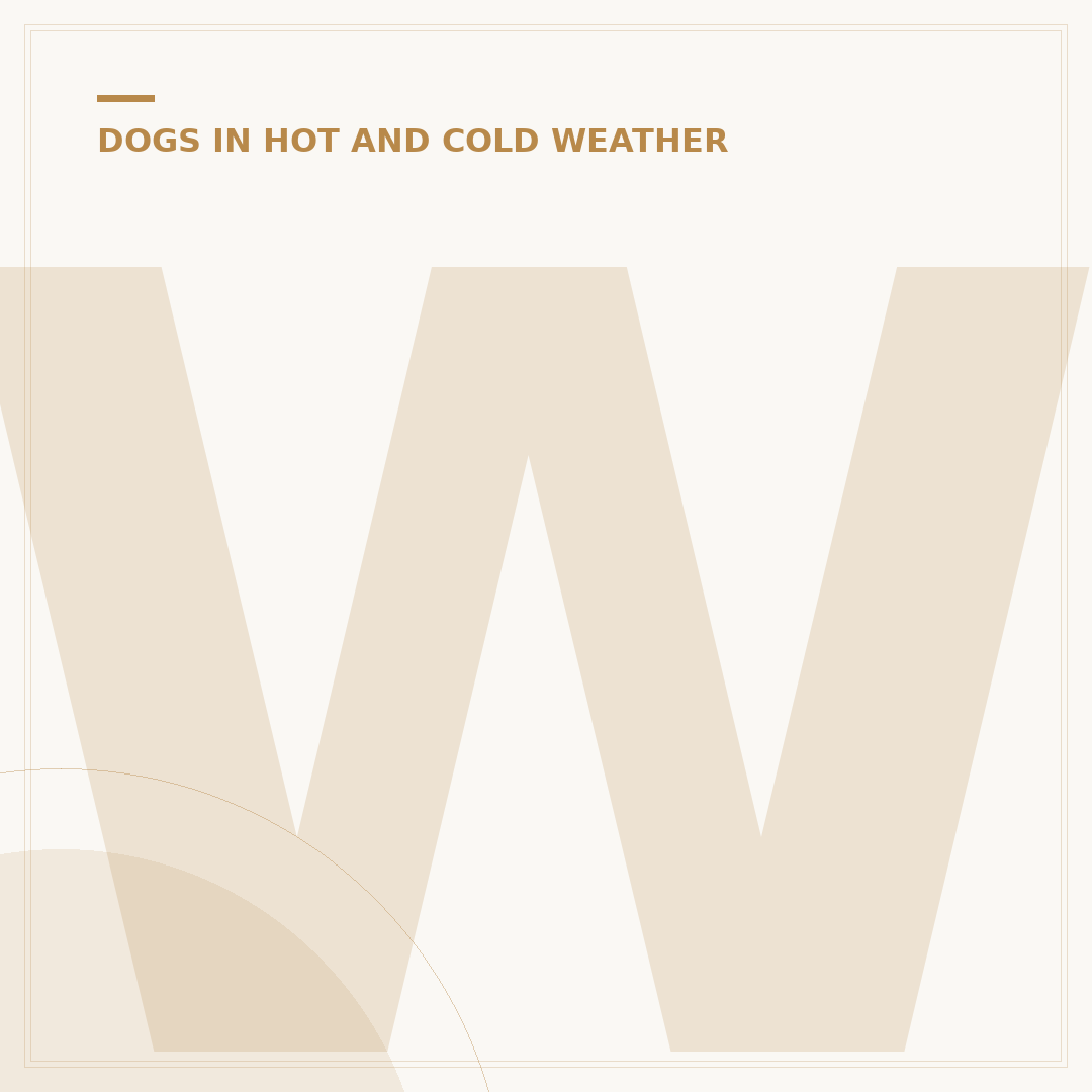What Temperature Should You Not Walk Your Dog?