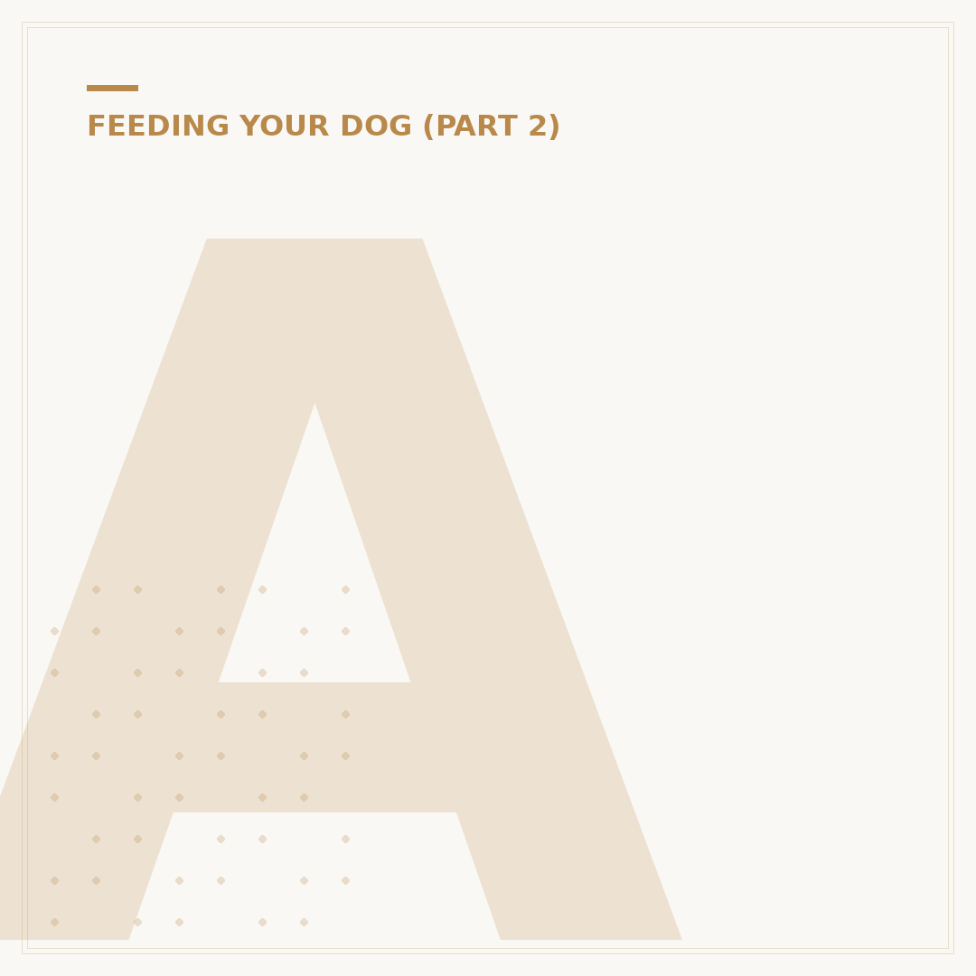 Are Dogs Allowed Bread? Safety and Health Advice