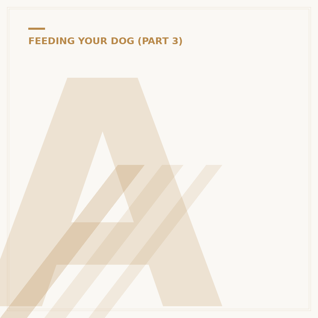 Are Dogs Allowed Pork? Safety and Feeding Advice