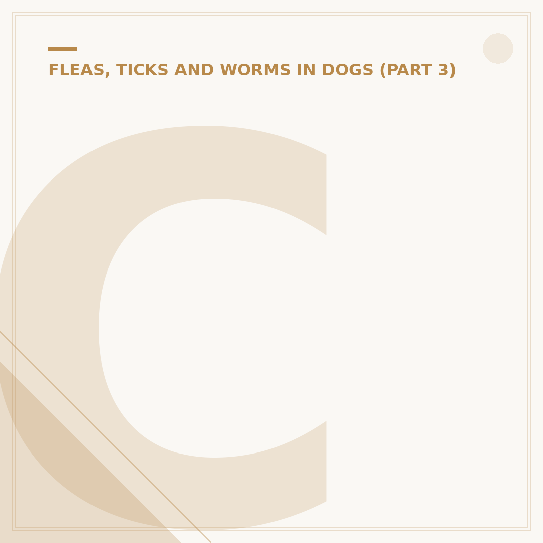 Can Dogs Catch Fleas from Cats?