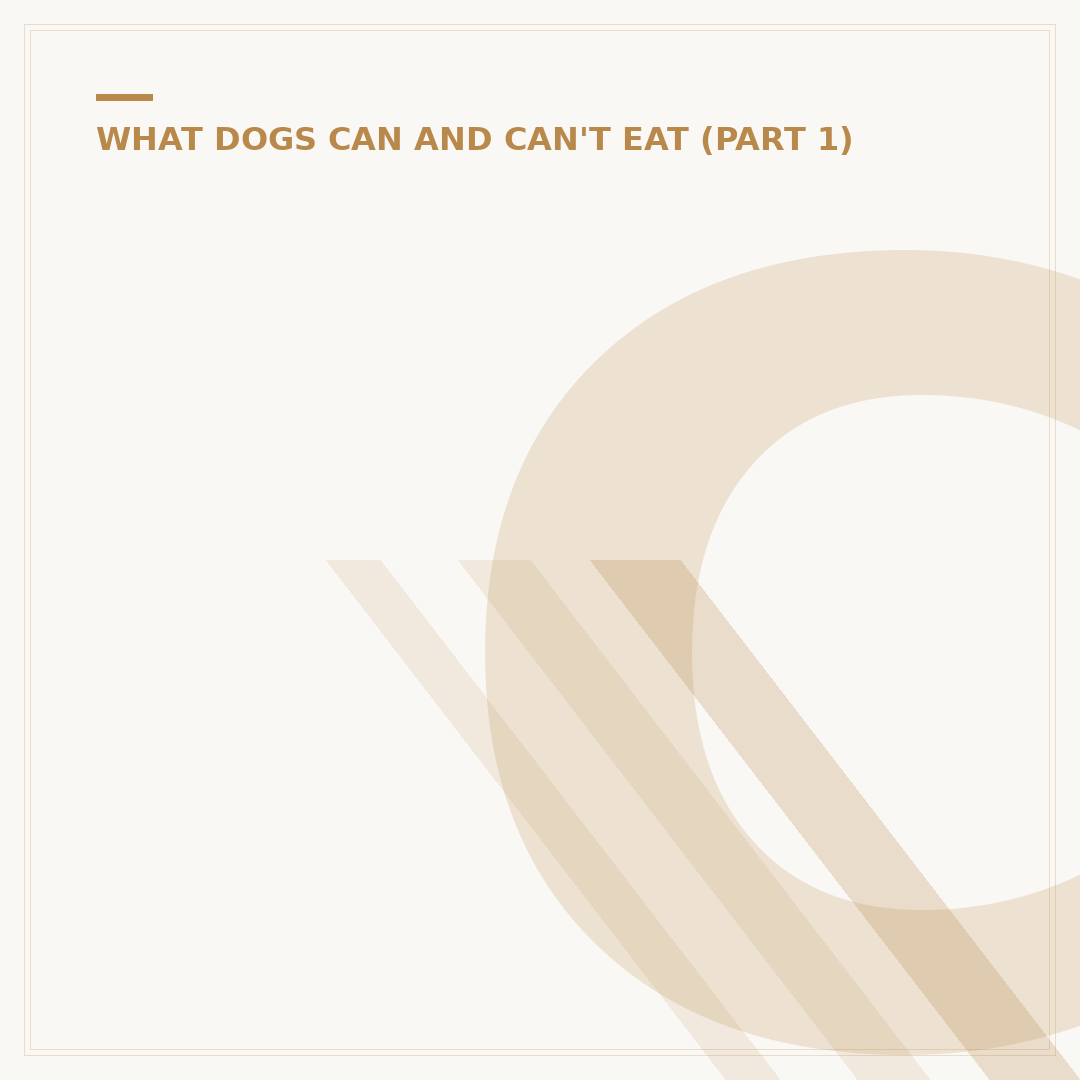 Can Dogs Eat Cashews? What You Need to Know