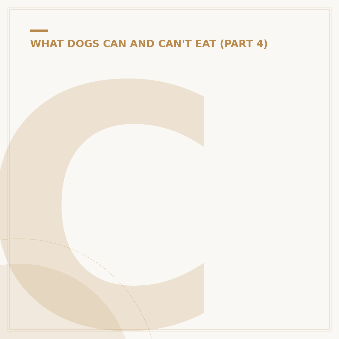 Can Dogs Eat Cheerios?