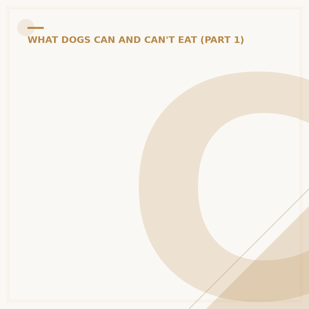 Can Dogs Eat Popcorn? Safety and Risks Explained