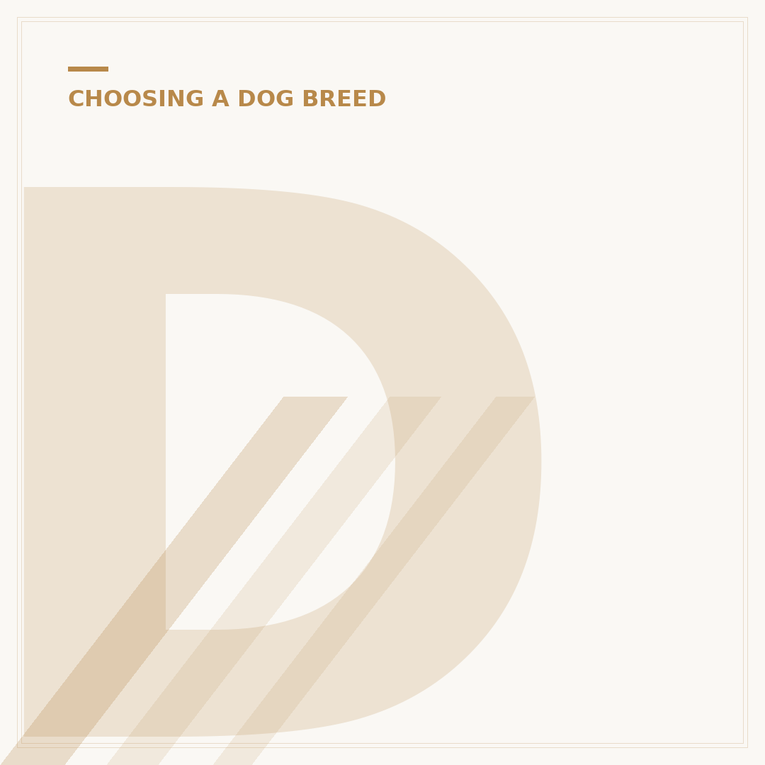 Dogs for First Time Owners: Choosing Your New Pet