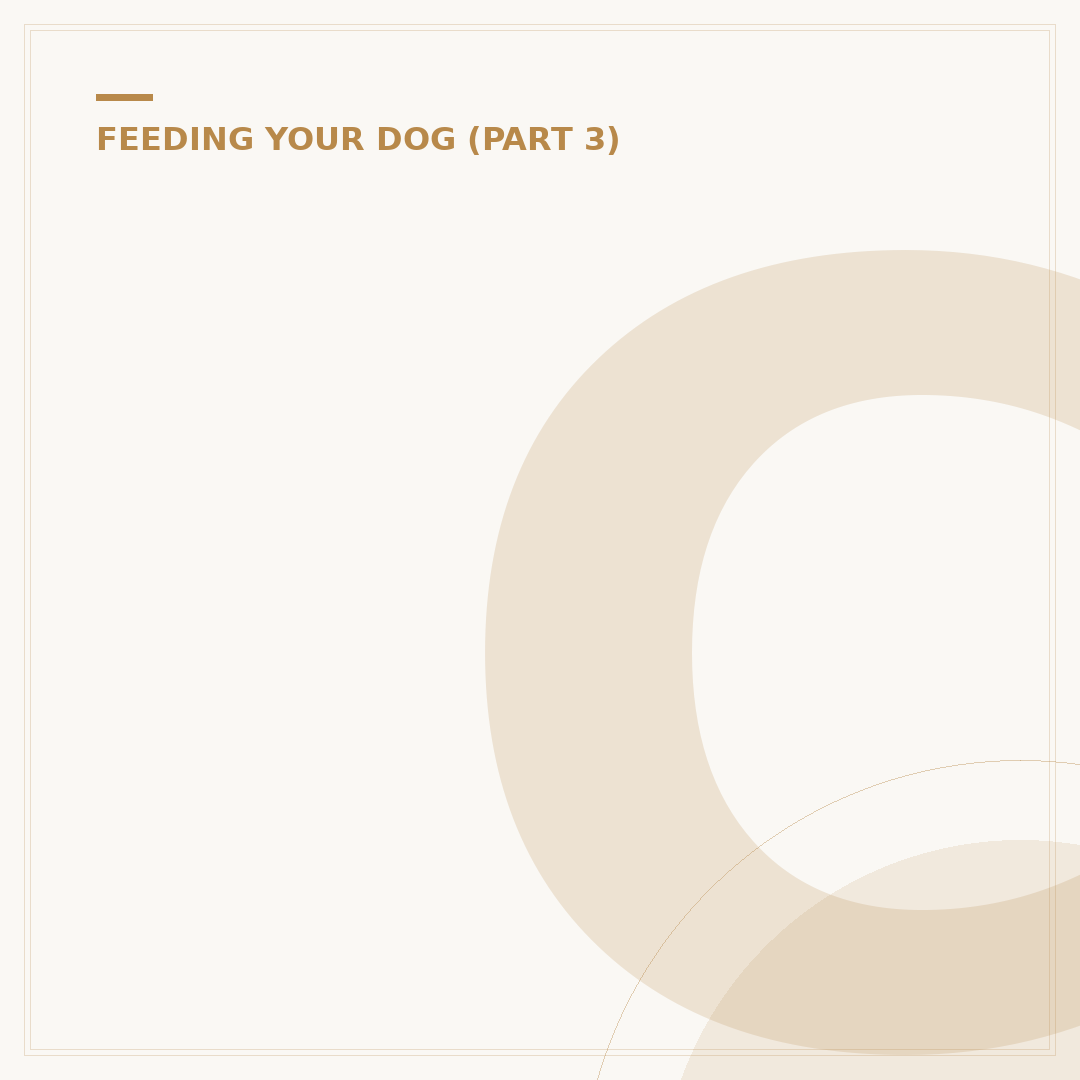 Can Dogs Get Food Poisoning? Signs and Prevention
