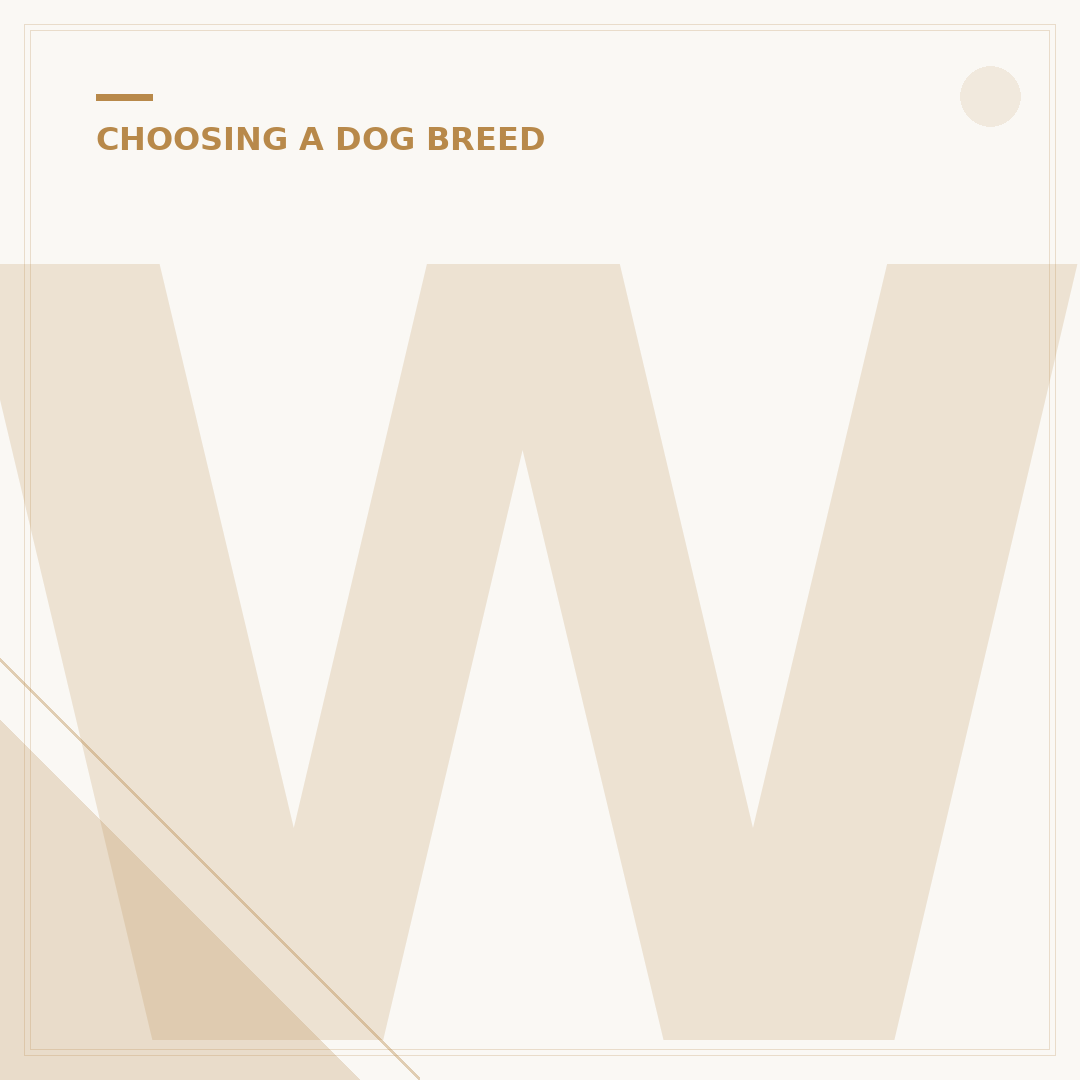 Which Dogs Are Hypoallergenic?