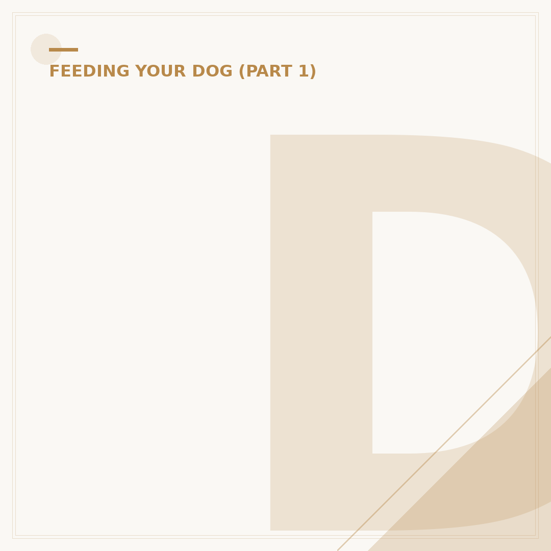 Dry Food for Dogs