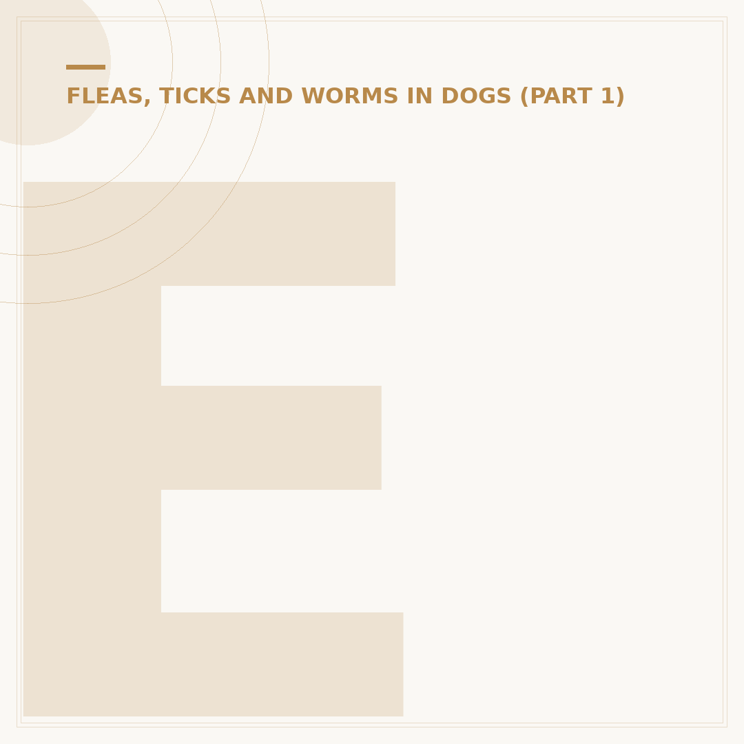Ear Lice in Dogs: Recognition and Management