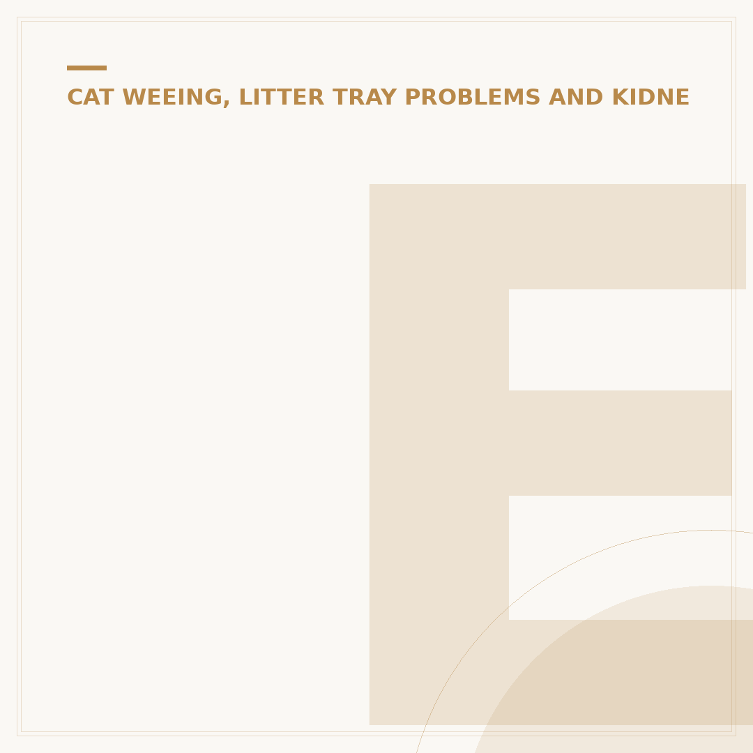 Early Signs of Kidney Disease in Cats