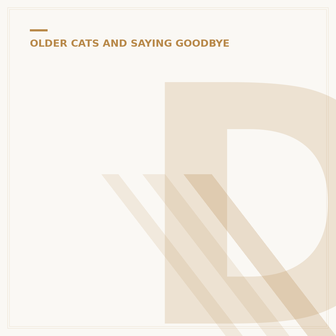Diarrhea in Elderly Cats