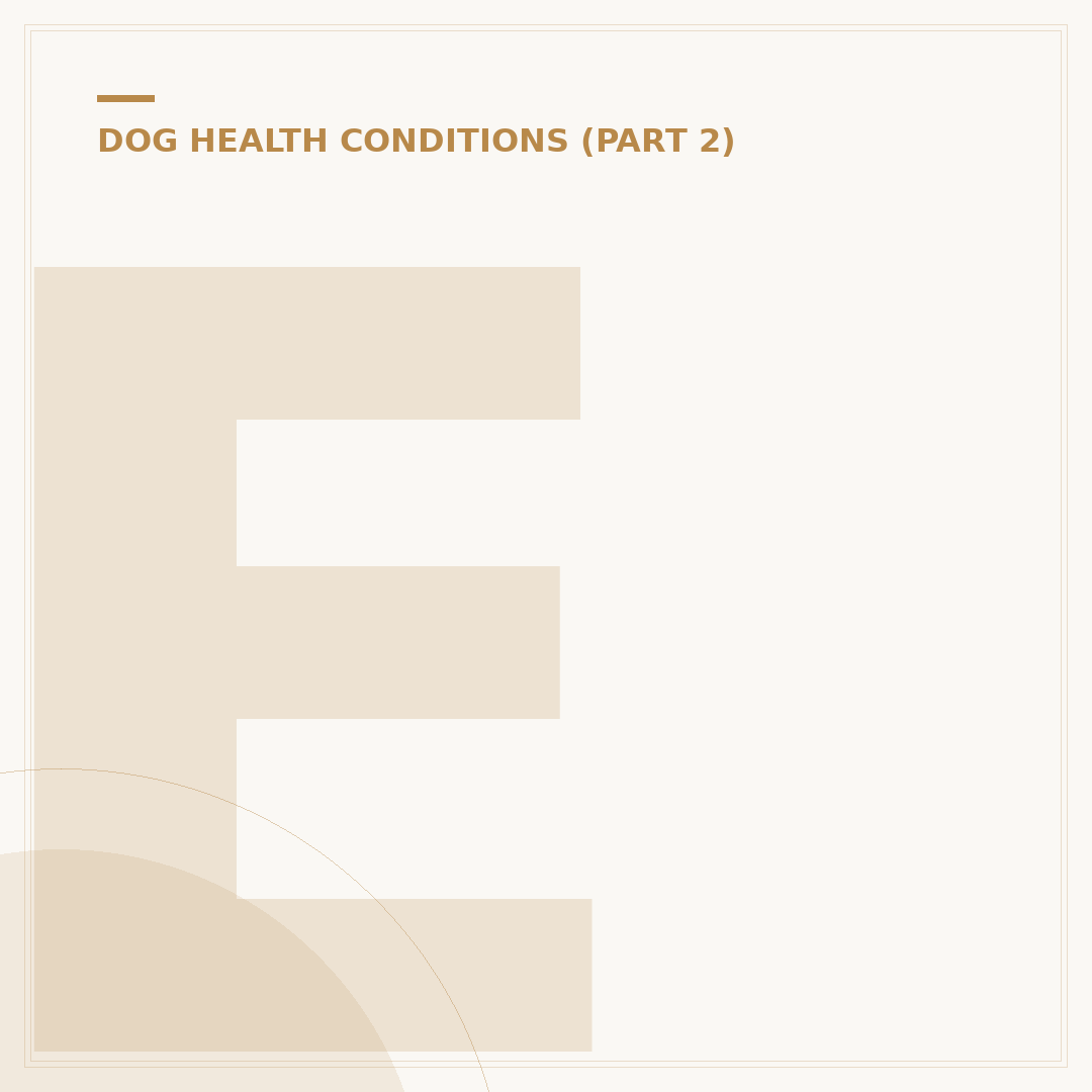 Elevated Liver Enzymes in Dogs: Causes, Signs & What To Do