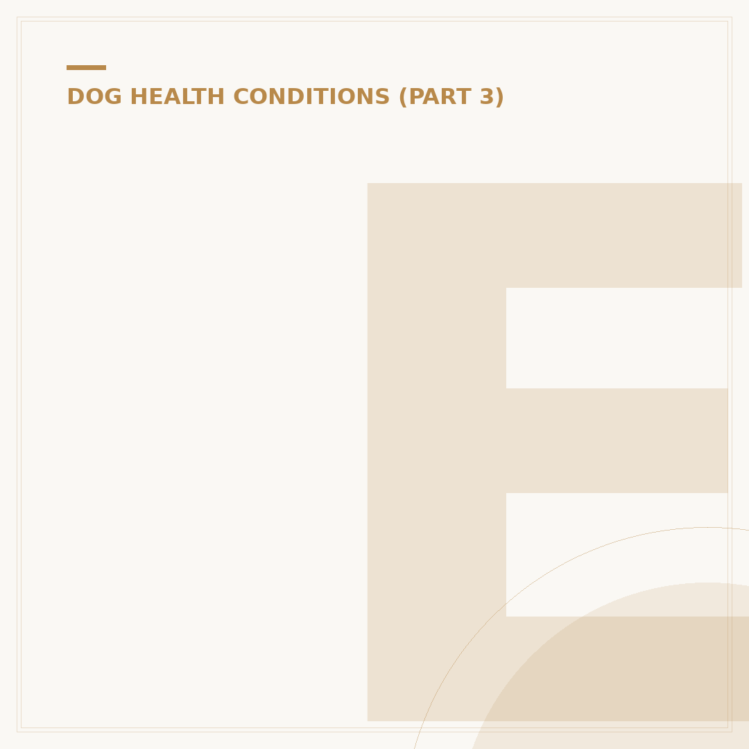Elevated Liver Values in Dogs: Causes, Signs & Next Steps