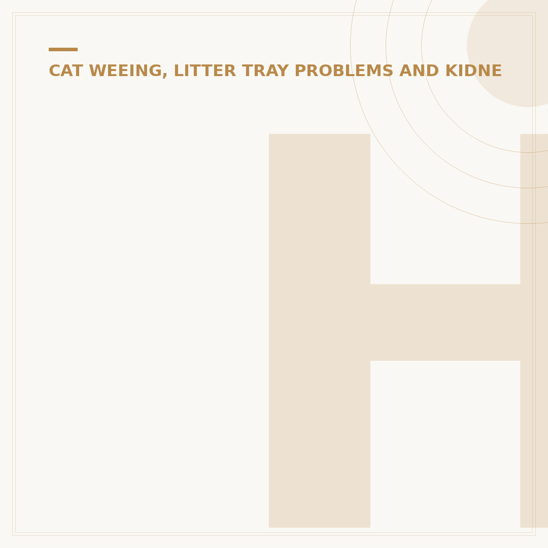 How to Eliminate Cat Pee Smell from Home Surfaces