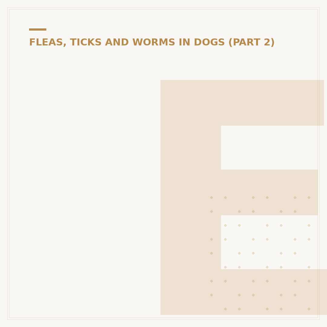 Embedded Tick on Dog: Safe Removal and Prevention