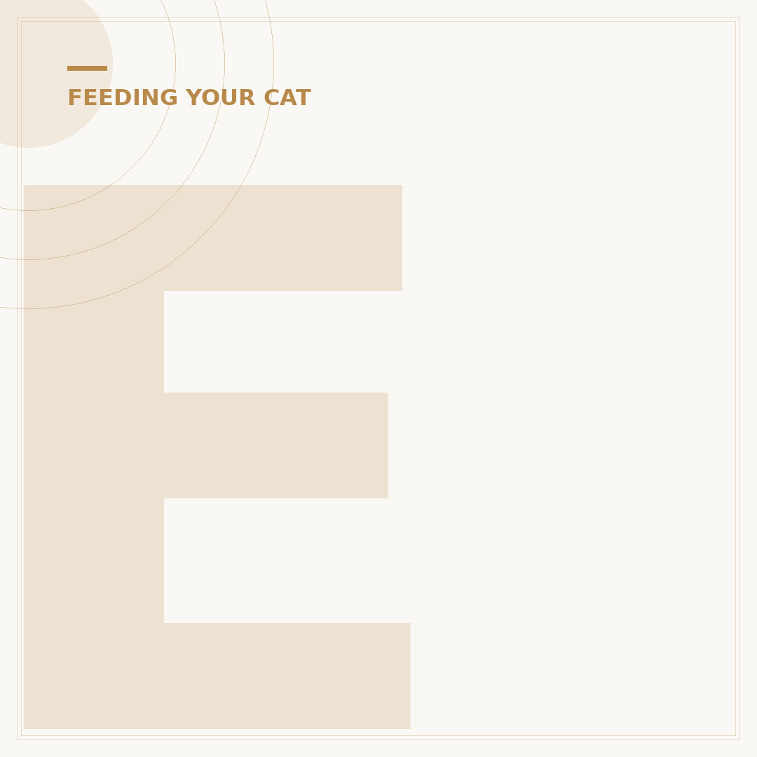 Encore Cat Treats: What Your Feline Needs