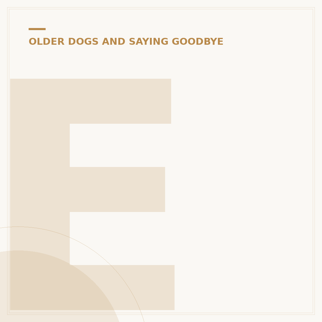 End of Life Care for Dogs: Support and Decisions