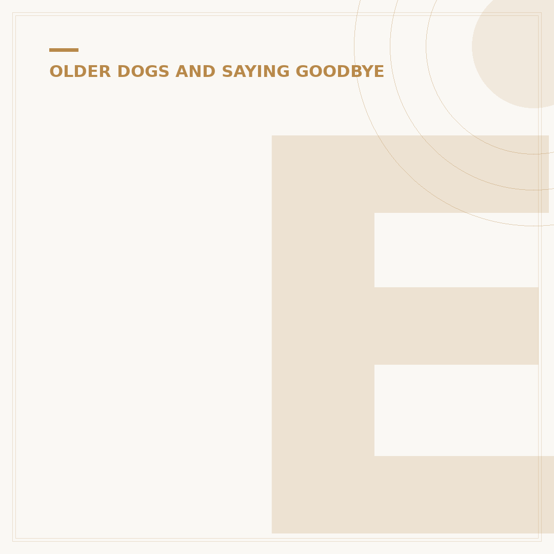 End of Life Signs in Dogs: What to Look For