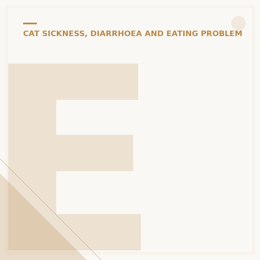 End Stage Inflammatory Bowel Disease in Cats
