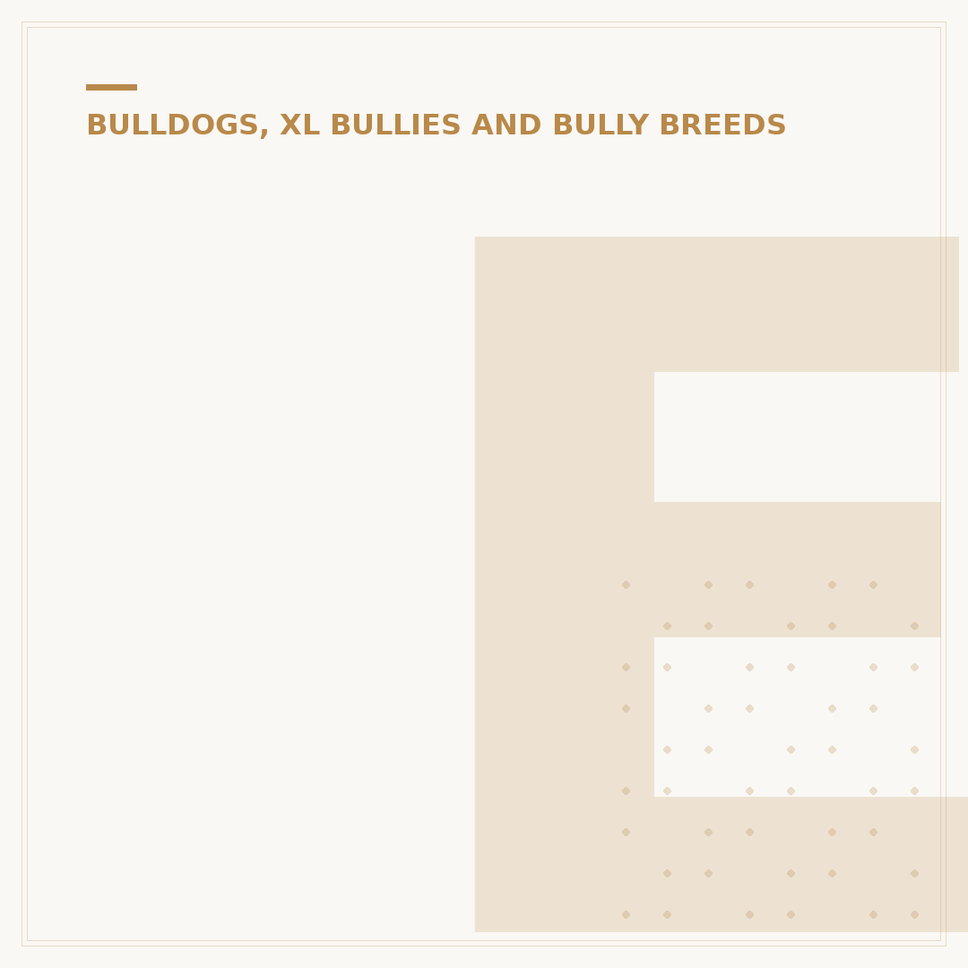 English Bulldog Age Expectancy: Lifespan & Health Factors