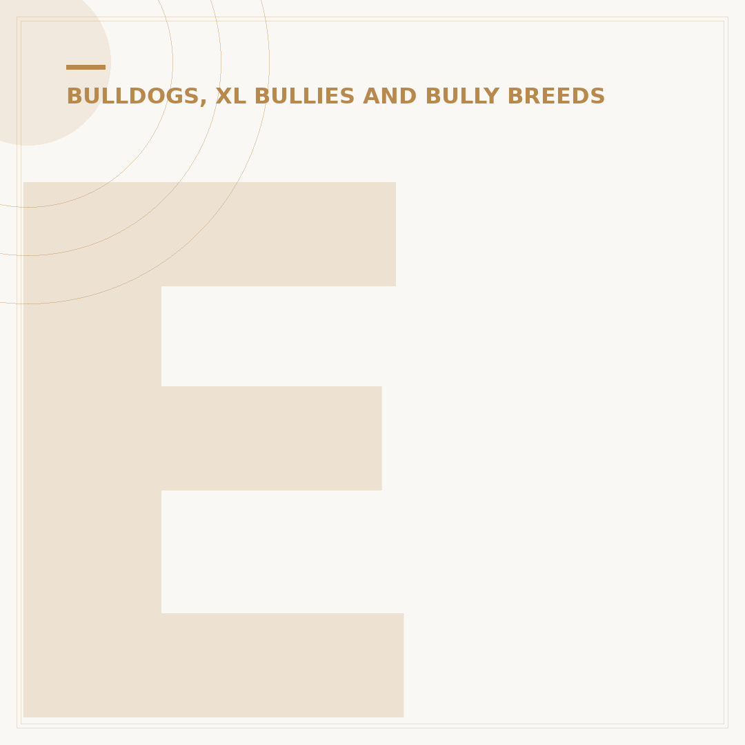 English Bulldog Health Issues: Common Problems & Care