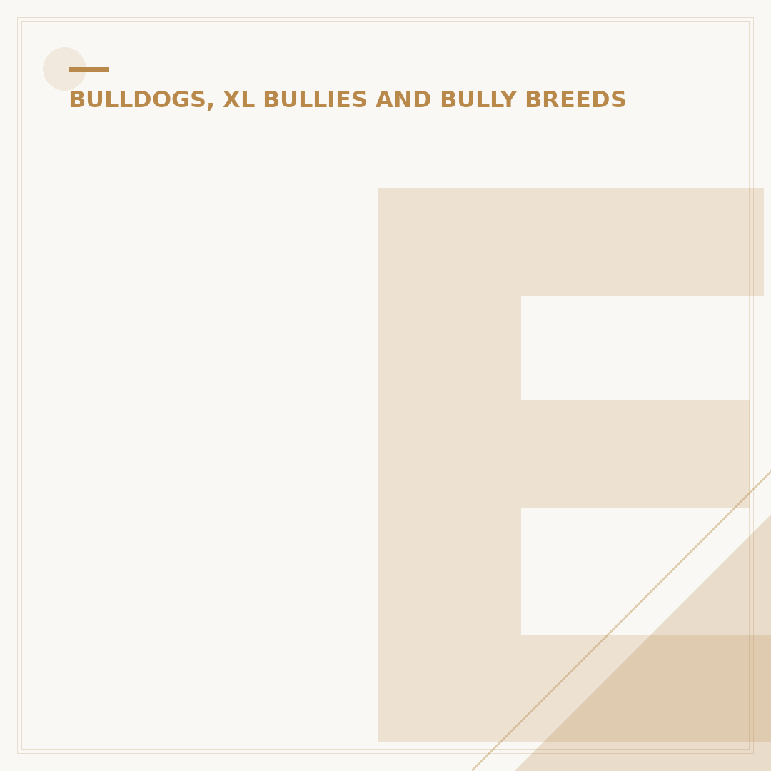 English Bulldog Life Expectancy: What Owners Need to Know