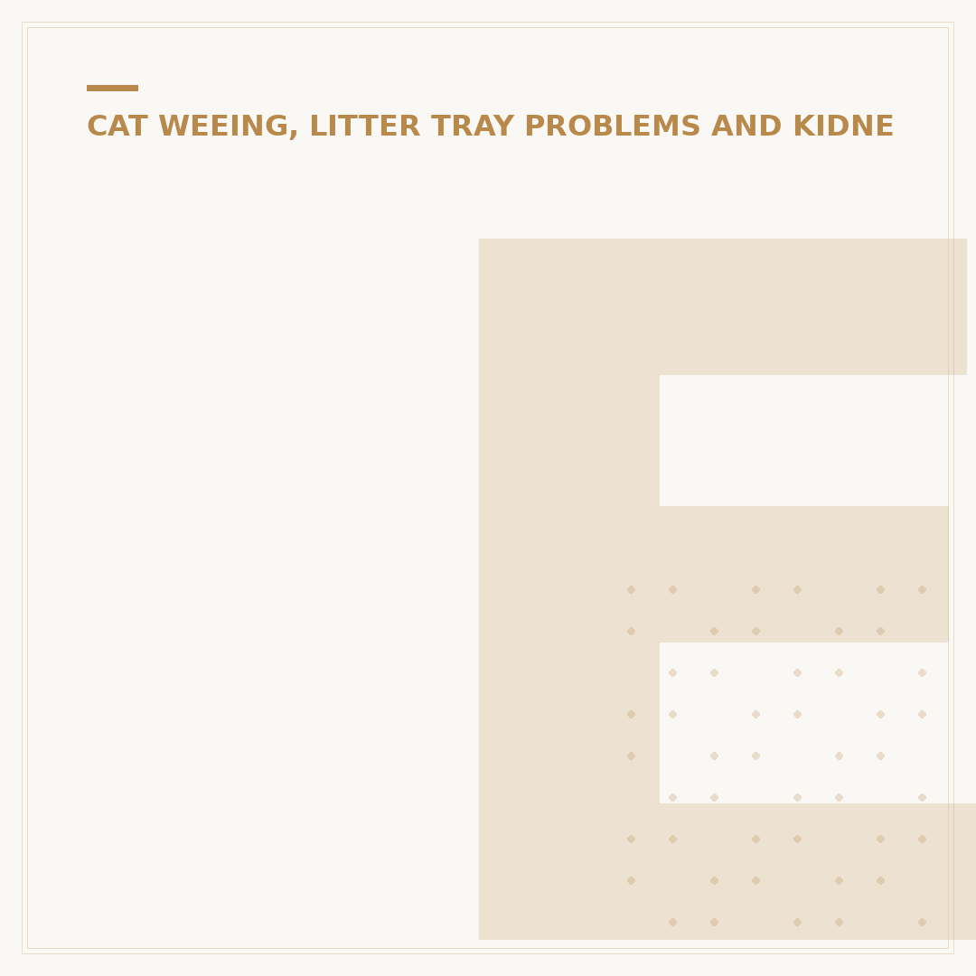 Enzymatic Cat Pee Cleaner: What It Is & How It Works