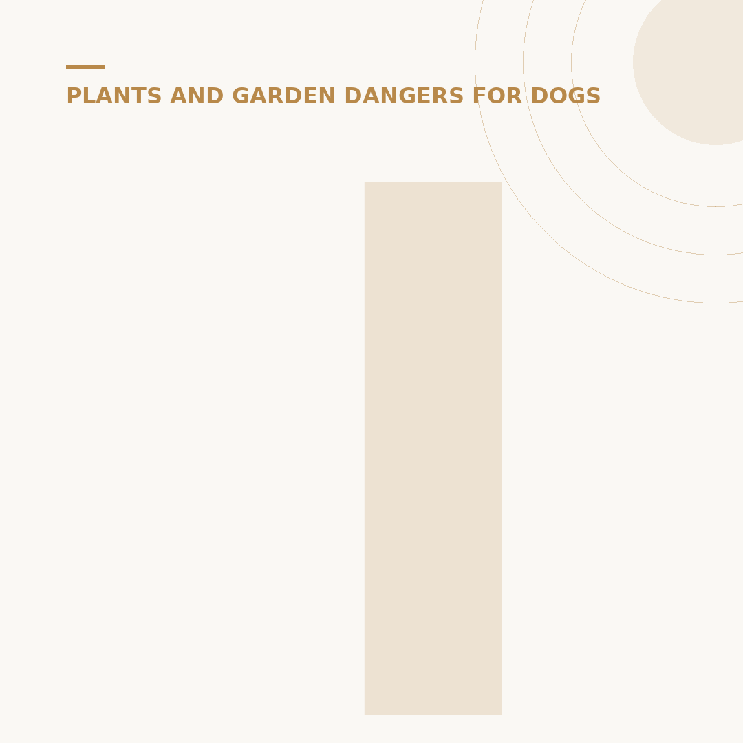 Is Eucalyptus Safe For Dogs? What You Need To Know