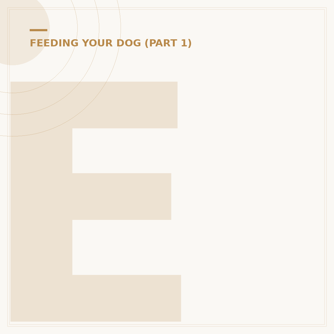 Eukanuba Puppy Dog Food