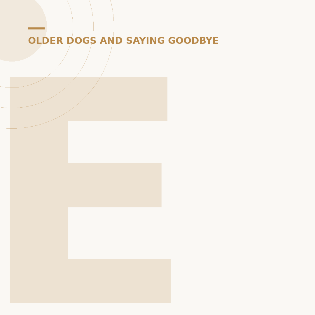 Euthanasia for Dogs