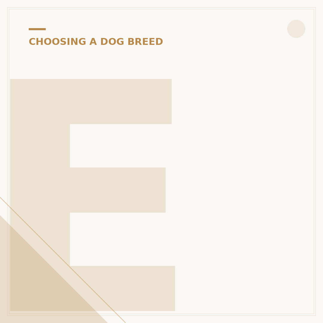 Extinct Dog Breeds: Why They Vanished